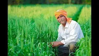 Story of a farmer and his bullock cart