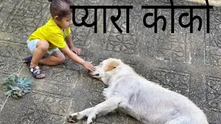 #Himalayan dog#श्री ने अपने कोको के साथ बातें की#dog video 🐶🐕