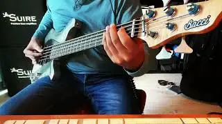 Bacci Marleo
