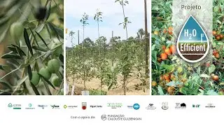 Sessão H2OEfficient Águas residuais