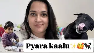 Aaj park mai mila kaalu✨❤️park outing ||FAMILY VLOG||