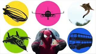 Types of aircraft: airasia plane, fighter jet F35, zeppelin airship, sugar glider, spiderman, bus
