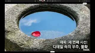 석지, 석연지, 물확 개념 비교