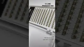 WHOLESALE PREMADE FAN LASH -12 LINE TRAY | KWIN LASHES FACTORY