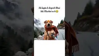 Dogesh bhai vlogs #dog#vlog#mountains #entertainment #vlogging