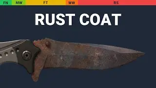 Nomad Knife Rust Coat - Skin Float And Wear Preview