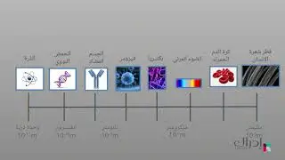 مقدمة في علم النانوتكنولوجي - ماذا نعني بكلمة نانو