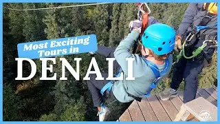 Denali National Park Adventure Tours | Ziplining, Rafting, Helicopters & More!