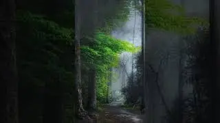 The sound of rain helps to sleep!
