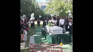 Cepelio triste 💔😥  Aida Condo,Chicago IL 2025 