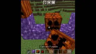 Minecraft Evoker Mutant Shorts #shorts #mineman7
