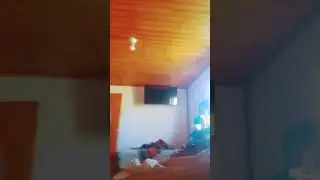 24 de marzo de 2024