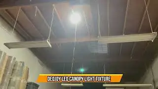 DEOJOY LED Canopy Light Fixture