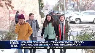 Чем опасен новый штамм COVID-19 