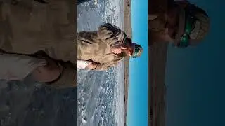 2026 early ice planter Rainbow trout at Panguitch lake utah 👌