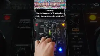 MASHUP: Martin Dawson - Is This Goodbye | Silky Raven - Caterpillars & Birds  #chilltechno