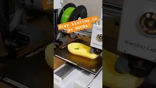 Распечатайте на 3D-принтере листинг на Etsy за 24 часа!