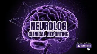 Generate Clinical Reports with the Neurolog App | FND Symptom Tracking to Word Document