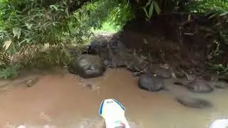 01-12-2024 trowulan
