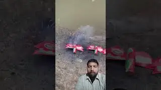 Butterfly 🦋 Diwali Creckar 🎇 #shortfeed35 #fireworks #diy #automobile #experiment #shorts