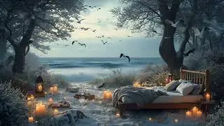 Ocean Sunrise 🕊️  Seagulls & Gentle Waves Morning Ambience