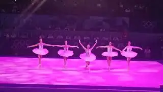 Swan lake ballet performance in the Artistic Gymnastics competition of the Paris Olympic Games
