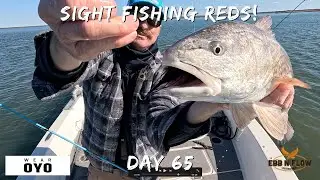 HOW TO Sight Fish Redfish in Charleston SC Winter (Clear Water Tactics)