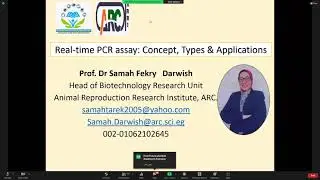 منصة علماء النخبة: مفهوم وتطبيقات وأنواع الـPCR الكمى (Real-Time PCR)