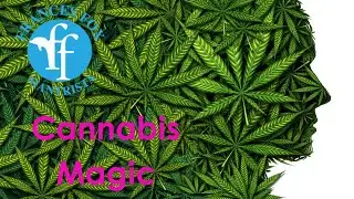 Cannabis/sex? Cannabis revelations? US Map