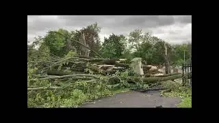 Storm damage to the Ottawa Jewish cemetery on Bank Street May 21, 2022