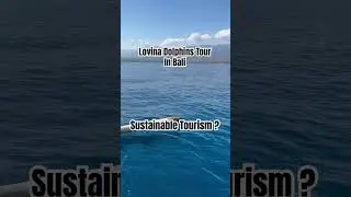 Lovina Dolphins Tour #nature #wildlife #bali #sustainable #travel #chill #dolphin #lovina