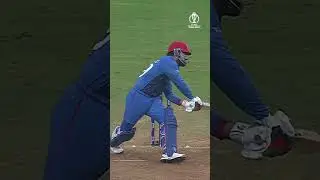 Rashid Khan can do it all 👏🏻 #cricket #cwc23 #afghanistan