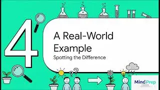 Control vs Experimental Groups