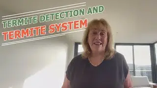 A1 Pest Control Canberra For Termite Detection And Termite System | Pest Control Canberra
