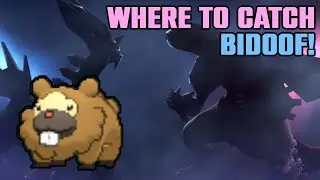 Where to Catch Bidoof! - Pokemon Brilliant Diamond/Shining Pearl