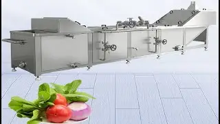 LF-BS6000 Industrial Blanching Machine