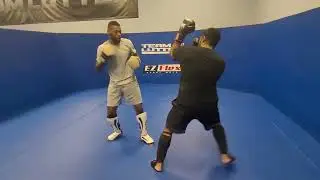 David vs Zeke