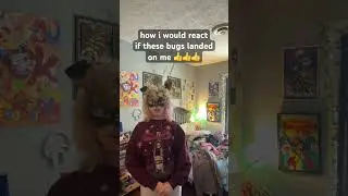 [#REACTION] |&bull;| bees scare me okay ? ( i love them but like - ) |&bull;| #bugs #insect #react #funny #fyp