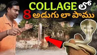 Danger Venomous Snake Found In Haunted Collage | 8 Feet Large Snake ( ప్రమాదకరమైన పాము)
