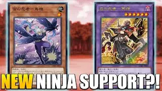 NINJA FUSION MONSTER?! NEW NINJA SUPPORT! Yu-Gi-Oh!
