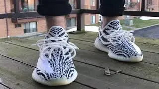 Yeezy Zebra 🦓 350 V2 ON FEET (OG)