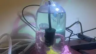 Ekmois smart fish tank review (for sea monkeys)