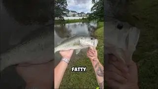 finally catchin em at the home pond🙏 #master #bassfishing #fishing #tackle #bass #fish