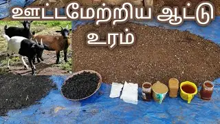 மேம்படுத்தபட்ட ஆட்டு உரம் செய்முறை...