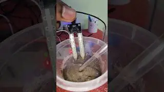 SOIL MOISTURE SENSOR PROJECT GSNCREATIONS #shorts #youtube #diy #arduino #project #soil #automatic