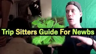 Salvia Divinorum *TRIP SITTERS GUIDE* For Newbs (Plant Safety)
