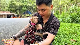 Monkeys Kaka and Mit are comfortable with Dad in the forest.