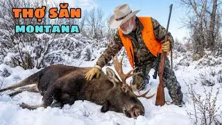 Thợ Săn Sinh Tồn Ở Montana - Săn Nai, Bẫy Hải Ly, Tích Trữ Thịt