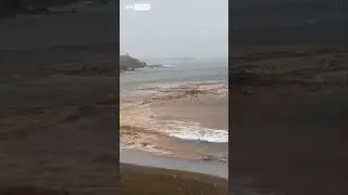 Car swept out to sea in Canary Islands flooding