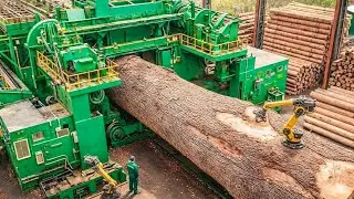Inside the Wood Factory: Logs Loaded on Trailer & Taken for Processing